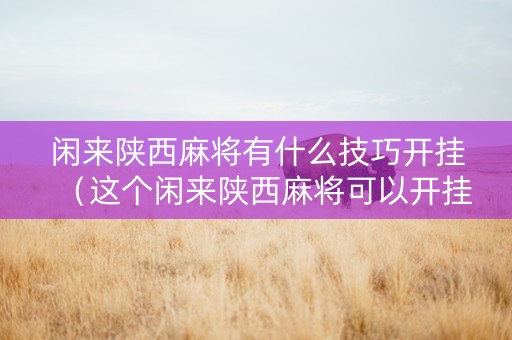 闲来陕西麻将有什么技巧开挂（这个闲来陕西麻将可以开挂吗）