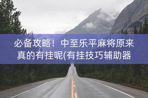 必备攻略！中至乐平麻将原来真的有挂呢(有挂技巧辅助器)