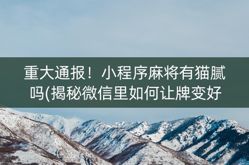 重大通报！小程序麻将有猫腻吗(揭秘微信里如何让牌变好)