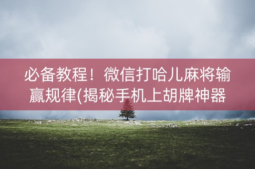 必备教程！微信打哈儿麻将输赢规律(揭秘手机上胡牌神器)