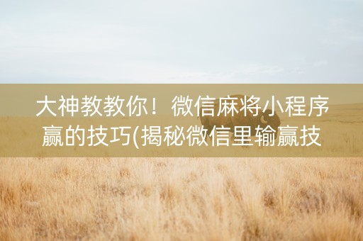 大神教教你！微信麻将小程序赢的技巧(揭秘微信里输赢技巧)