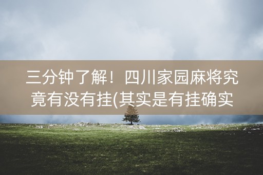 三分钟了解！四川家园麻将究竟有没有挂(其实是有挂确实有挂)