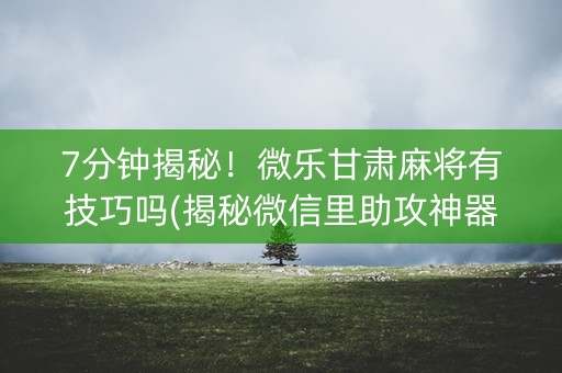 7分钟揭秘！微乐甘肃麻将有技巧吗(揭秘微信里助攻神器)