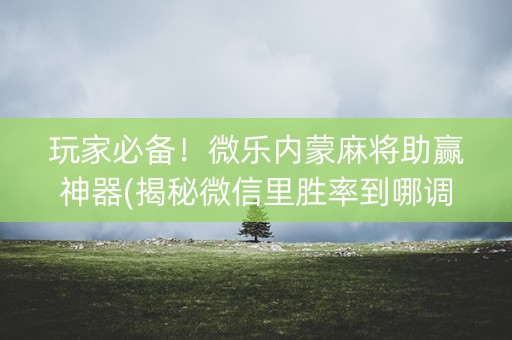 玩家必备！微乐内蒙麻将助赢神器(揭秘微信里胜率到哪调)