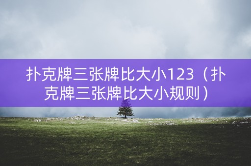 扑克牌三张牌比大小123（扑克牌三张牌比大小规则）