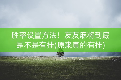 胜率设置方法！友友麻将到底是不是有挂(原来真的有挂)