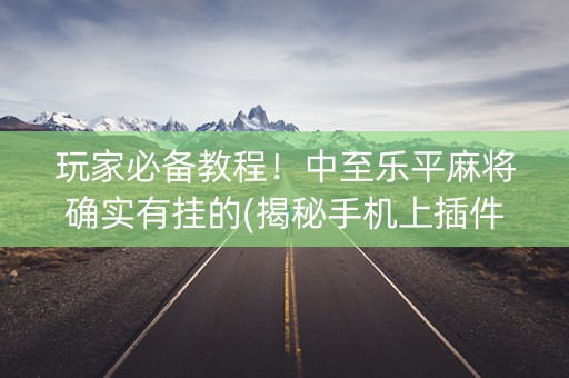 玩家必备教程！中至乐平麻将确实有挂的(揭秘手机上插件购买)