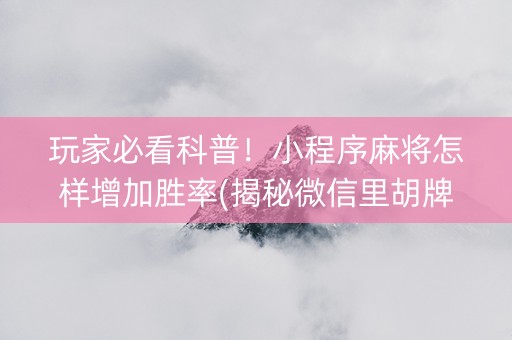 玩家必看科普！小程序麻将怎样增加胜率(揭秘微信里胡牌神器)