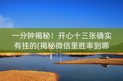 一分钟揭秘！开心十三张确实有挂的(揭秘微信里胜率到哪调)