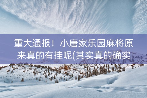 重大通报！小唐家乐园麻将原来真的有挂呢(其实真的确实有挂)