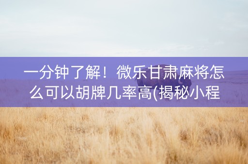一分钟了解！微乐甘肃麻将怎么可以胡牌几率高(揭秘小程序赢牌技巧)