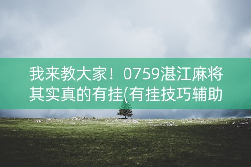 我来教大家！0759湛江麻将其实真的有挂(有挂技巧辅助器)