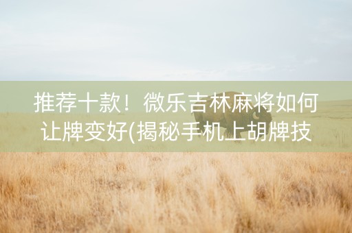 推荐十款！微乐吉林麻将如何让牌变好(揭秘手机上胡牌技巧)