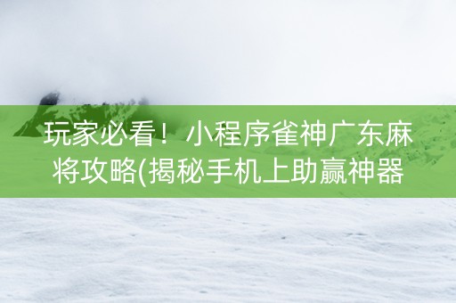 玩家必看！小程序雀神广东麻将攻略(揭秘手机上助赢神器购买)