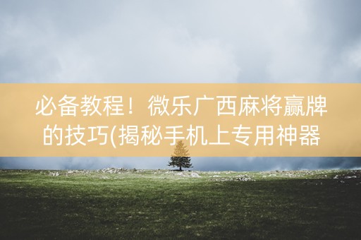 必备教程！微乐广西麻将赢牌的技巧(揭秘手机上专用神器下载)