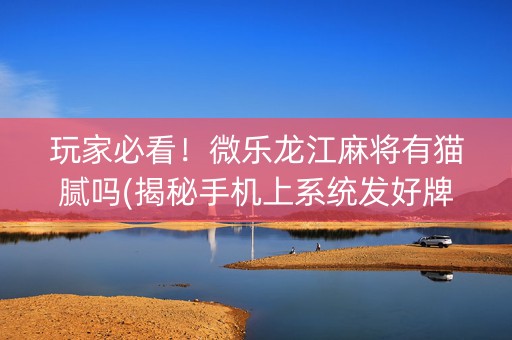 玩家必看！微乐龙江麻将有猫腻吗(揭秘手机上系统发好牌)