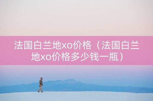 法国白兰地xo价格（法国白兰地xo价格多少钱一瓶）
