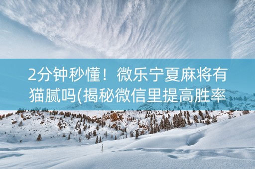 2分钟秒懂！微乐宁夏麻将有猫腻吗(揭秘微信里提高胜率)