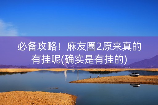 必备攻略！麻友圈2原来真的有挂呢(确实是有挂的)