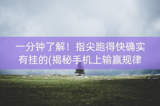 一分钟了解！指尖跑得快确实有挂的(揭秘手机上输赢规律)