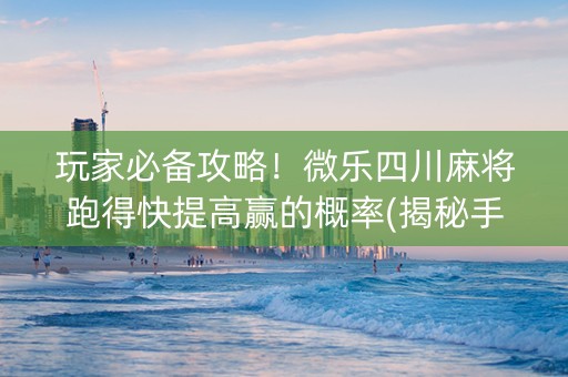 玩家必备攻略！微乐四川麻将跑得快提高赢的概率(揭秘手机上输赢技巧)