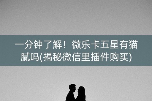一分钟了解！微乐卡五星有猫腻吗(揭秘微信里插件购买)