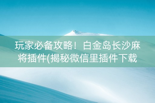 玩家必备攻略！白金岛长沙麻将插件(揭秘微信里插件下载)