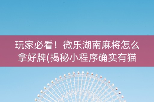 玩家必看！微乐湖南麻将怎么拿好牌(揭秘小程序确实有猫腻)
