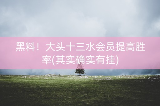 黑料！大头十三水会员提高胜率(其实确实有挂)