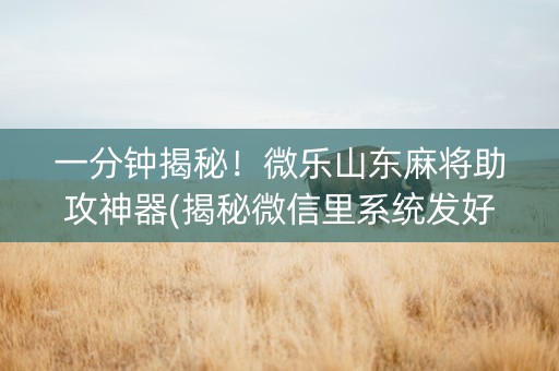 一分钟揭秘！微乐山东麻将助攻神器(揭秘微信里系统发好牌)