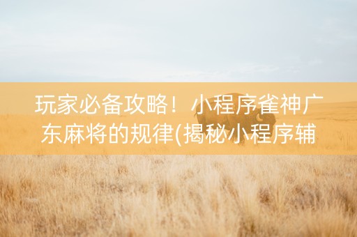 玩家必备攻略！小程序雀神广东麻将的规律(揭秘小程序辅牌器)