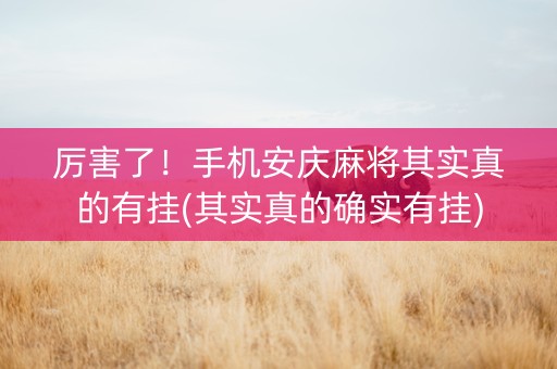 厉害了！手机安庆麻将其实真的有挂(其实真的确实有挂)