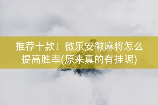 推荐十款！微乐安徽麻将怎么提高胜率(原来真的有挂呢)