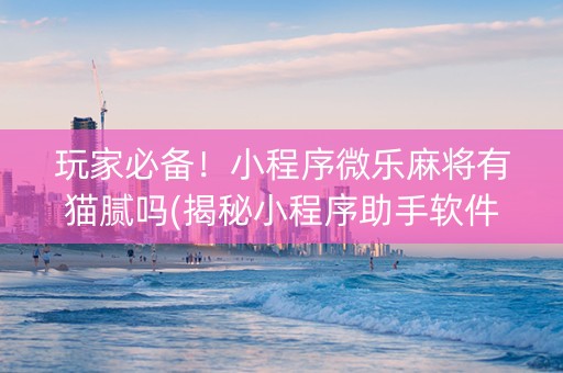玩家必备！小程序微乐麻将有猫腻吗(揭秘小程序助手软件)