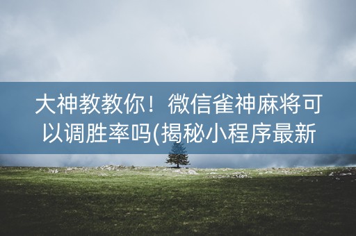 大神教教你！微信雀神麻将可以调胜率吗(揭秘小程序最新神器下载)