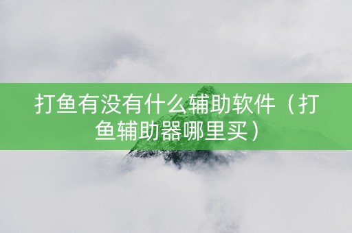 打鱼有没有什么辅助软件（打鱼辅助器哪里买）