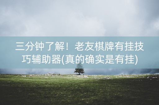 三分钟了解！老友棋牌有挂技巧辅助器(真的确实是有挂)
