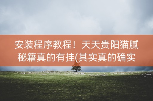 安装程序教程！天天贵阳猫腻秘籍真的有挂(其实真的确实有挂)