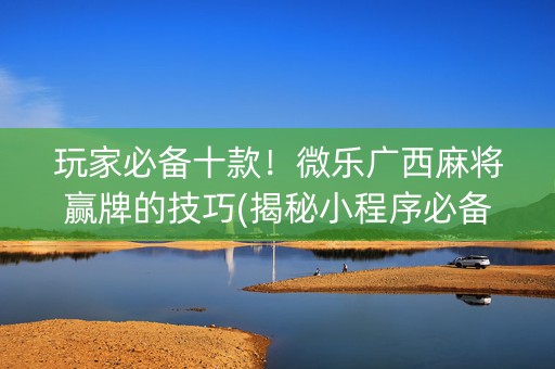 玩家必备十款！微乐广西麻将赢牌的技巧(揭秘小程序必备神器)