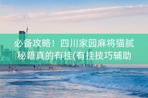 必备攻略！四川家园麻将猫腻秘籍真的有挂(有挂技巧辅助器)