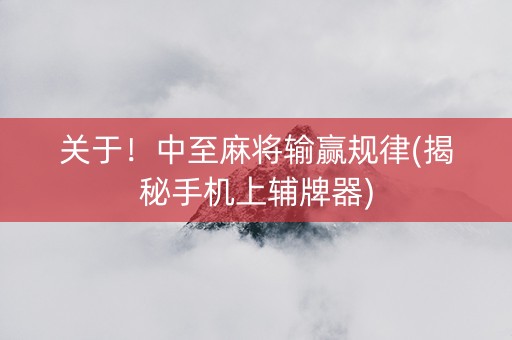 关于！中至麻将输赢规律(揭秘手机上辅牌器)
