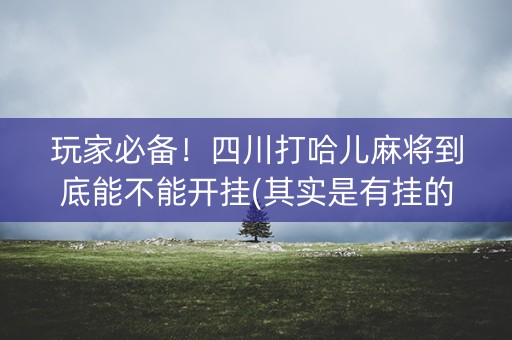 玩家必备！四川打哈儿麻将到底能不能开挂(其实是有挂的)