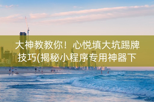 大神教教你！心悦填大坑踢牌技巧(揭秘小程序专用神器下载)