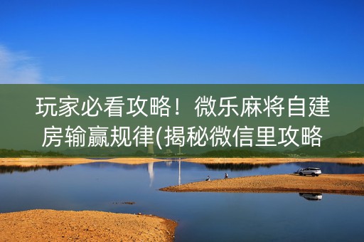 玩家必看攻略！微乐麻将自建房输赢规律(揭秘微信里攻略插件)