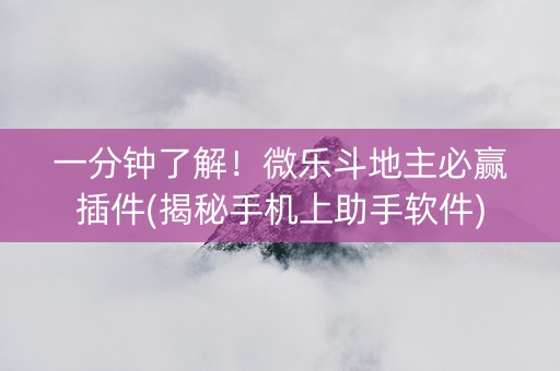 一分钟了解！微乐斗地主必赢插件(揭秘手机上助手软件)