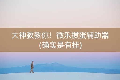 大神教教你！微乐掼蛋辅助器(确实是有挂)
