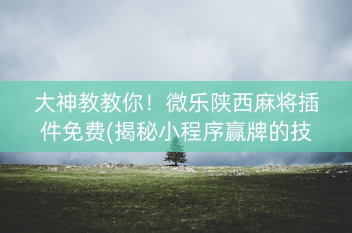 大神教教你！微乐陕西麻将插件免费(揭秘小程序赢牌的技巧)