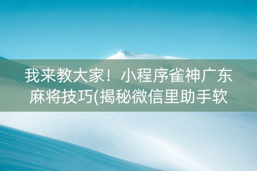 我来教大家！小程序雀神广东麻将技巧(揭秘微信里助手软件)