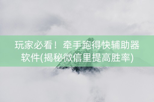 玩家必看！牵手跑得快辅助器软件(揭秘微信里提高胜率)