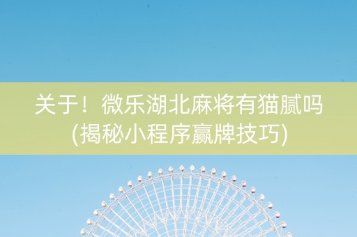 关于！微乐湖北麻将有猫腻吗(揭秘小程序赢牌技巧)